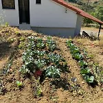 Casa Vilariça Alfândega da Fé