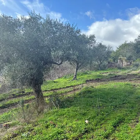 Tatil Evi Casa Vilariça *