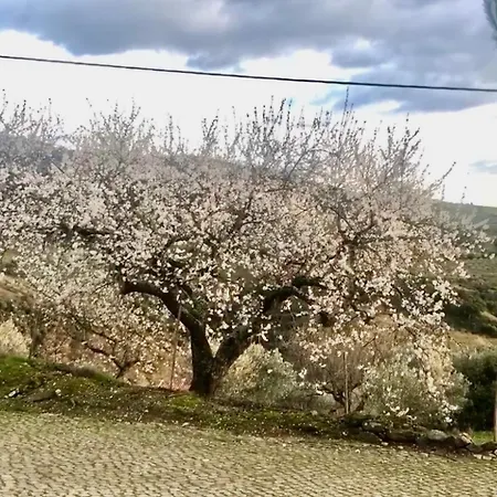 Casa Vilarica Feriehus