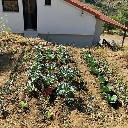 Casa Vilarica Alfandega Da Fe