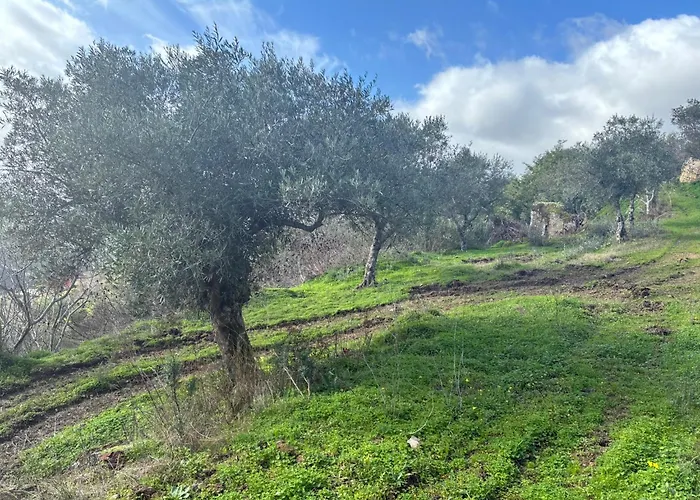 Casa de Férias Casa Vilariça *