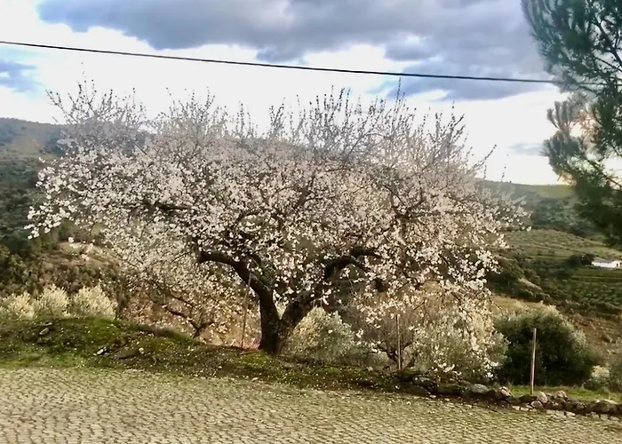 Casa Vilarica Nyaraló