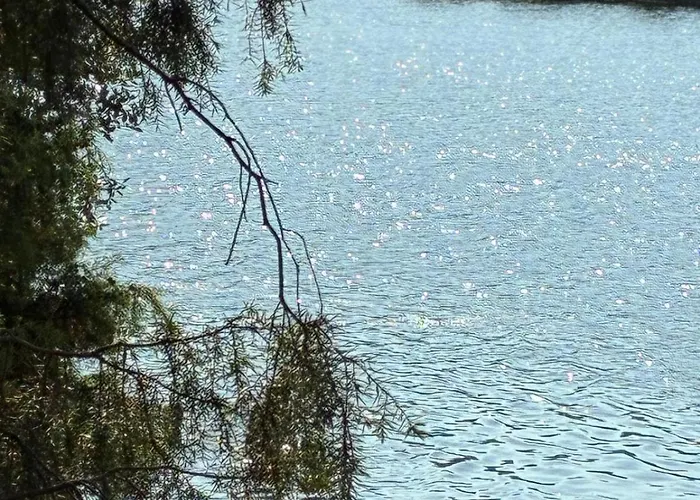 Casa Vilariça Alfândega da Fé