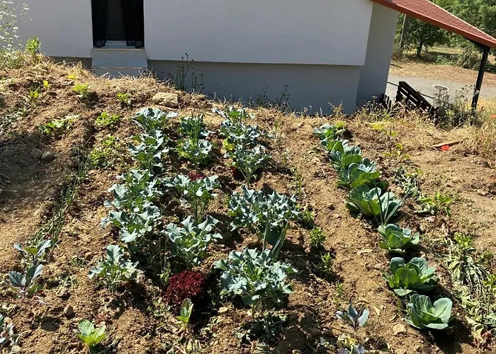 Casa Vilariça Alfândega da Fé